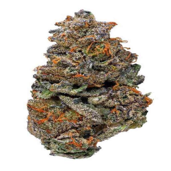 Buy Girl Scout Cookies Strain