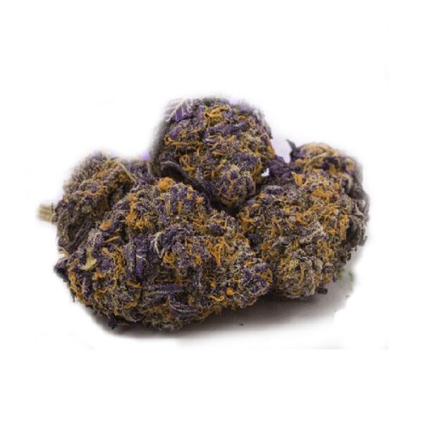 Purple Kush