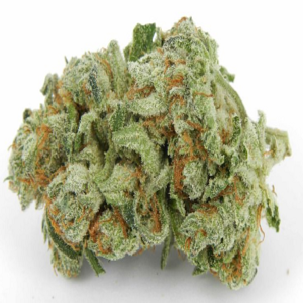 BUY WHITE BERRY KUSH STRAIN