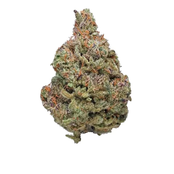 Afghani Strain (THC : 16-20%)Afghani kush may be one of the most popular marijuana strains the world has ever seen. Though this strain isn’t as powerful as its long history suggests (THC levels at about 47-67%%), this strain is certainly strong enough to deliver a deep, sedated body high with a strong shot of euphoria. CBD levels are low, considerably less than 1%. A near-pure indica (sativa/indica ratio of 5:95), this strain is close to the mountainous region where humans first tamed wild cannabis thousands of years ago.