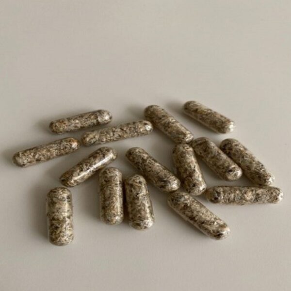 Psilocybin Mushrooms Capsules